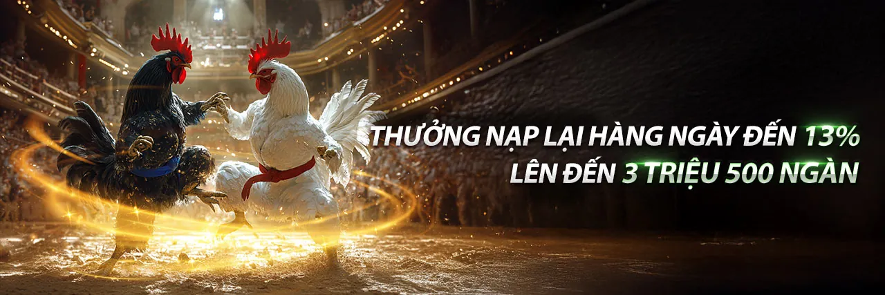 Đá Gà Trực Tiếp Hôm Nay Thứ Ba - Sân đấu kịch tính